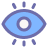 Vision Icon